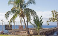 We could see this decaying wharf from our seats at Aloha Mixed Plate. So, after lunch, we went to investigate. 