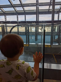 Young Harry checking out our plane.